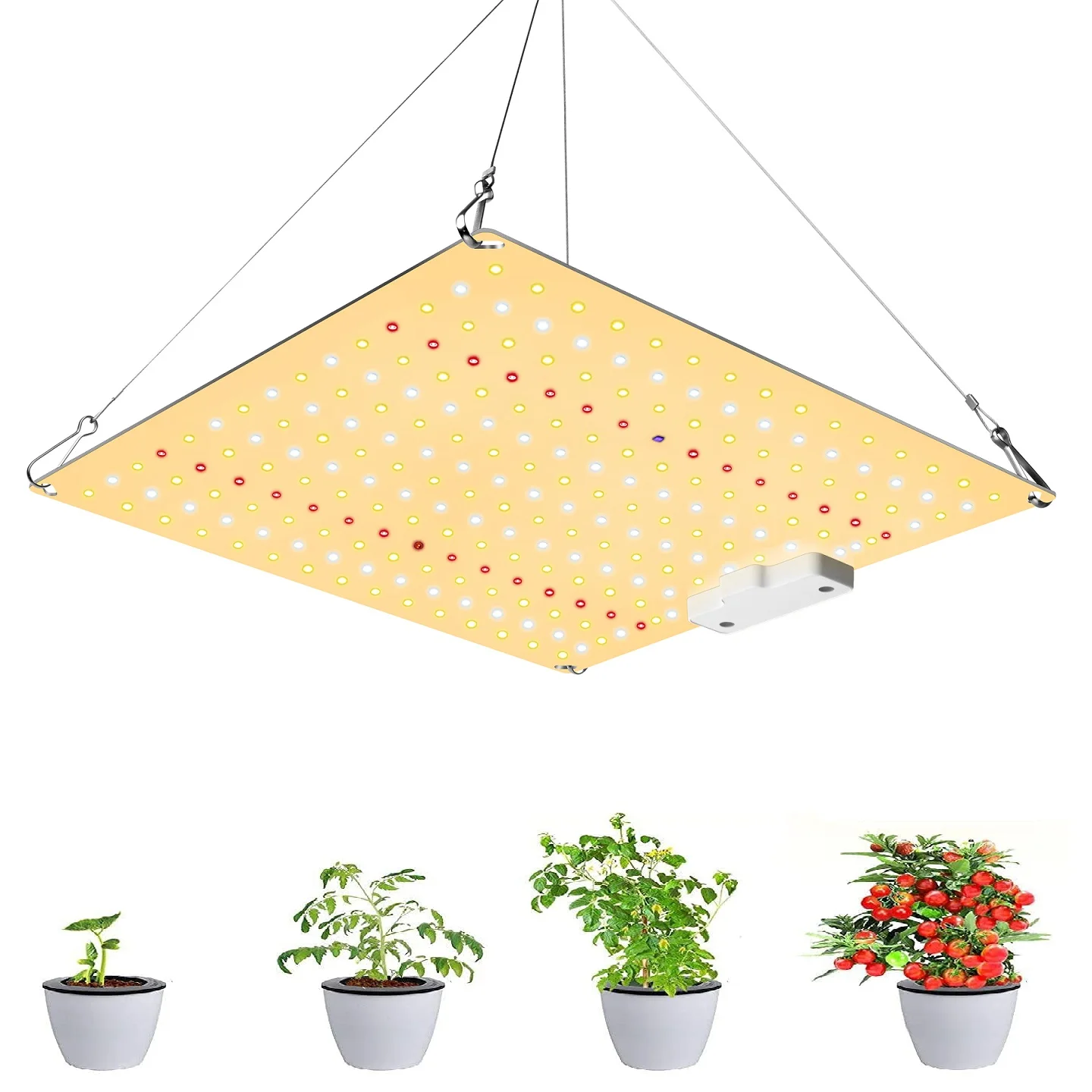 600w Led Grow Light For Indoor Plant With Full Spectrum Samsung lm281b Chips UV IR Diodes Fit For 4X4ft Grow Tent
600w Led Grow Light For Indoor Plant With Full Spectrum Samsung lm281b Chips UV IR Diodes Fit For 4X4ft Grow Tent