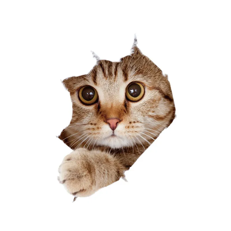 1-3Pcs 3D Wall Sticker simulation cat bathroom set Creative three-dimensional indoor home decoration PVC
1-3Pcs 3D Wall Sticker simulation cat bathroom set Creative three-dimensional indoor home decoration PVC