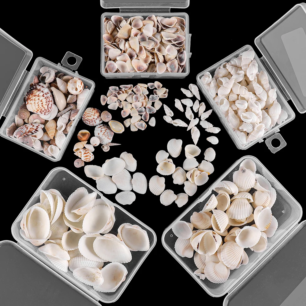 1Box Natural Shell Conch Rsein Fillings Tools Ocean Style Filler Decoration Shell for DIY Epoxy Resin Mold Jewelry Making
1Box Natural Shell Conch Rsein Fillings Tools Ocean Style Filler Decoration Shell for DIY Epoxy Resin Mold Jewelry Making