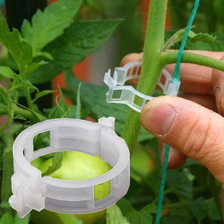 Plastic plant clamps, 50/100 pcs, reusable protection, grafting tools, tomato and vegetable gardening supplies
Plastic plant clamps, 50/100 pcs, reusable protection, grafting tools, tomato and vegetable gardening supplies