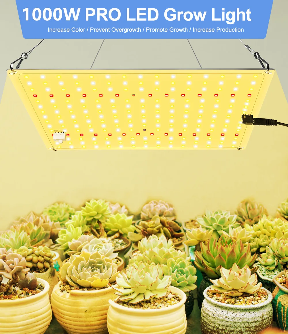 Full Spectrum QBZ 1000W Samsung LM281B Dimmable Quantum LED Grow Light With 3000K 3500K IR For Indoor Plant Greenhouse Grow Tent
Full Spectrum QBZ 1000W Samsung LM281B Dimmable Quantum LED Grow Light With 3000K 3500K IR For Indoor Plant Greenhouse Grow Tent