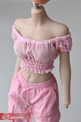 1/6 Short Sleeve Clothes Model four colors Fit 12" Female PhicenS TBLeague Figure Body Dolls in stock
1/6 Short Sleeve Clothes Model four colors Fit 12" Female PhicenS TBLeague Figure Body Dolls in stock