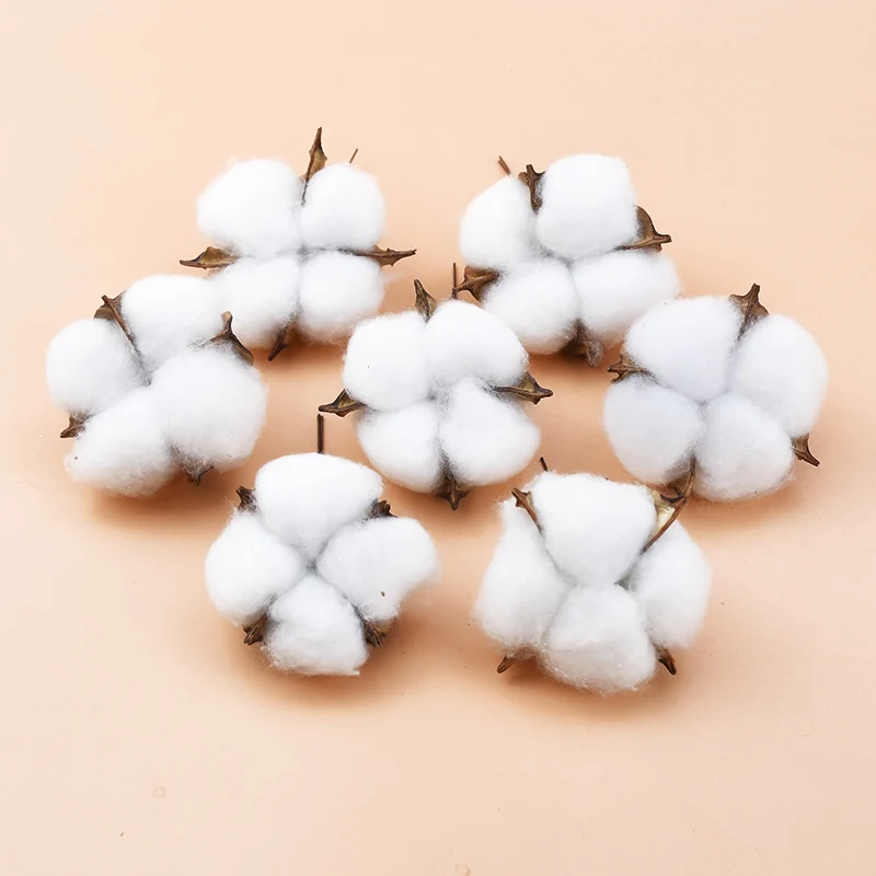 5/10PCS White Cotton Florist Supplies Wedding Car Decorative Wreaths Christmas Home Decor Diy Gifts Box Cheap Artificial Flowers
5/10PCS White Cotton Florist Supplies Wedding Car Decorative Wreaths Christmas Home Decor Diy Gifts Box Cheap Artificial Flowers