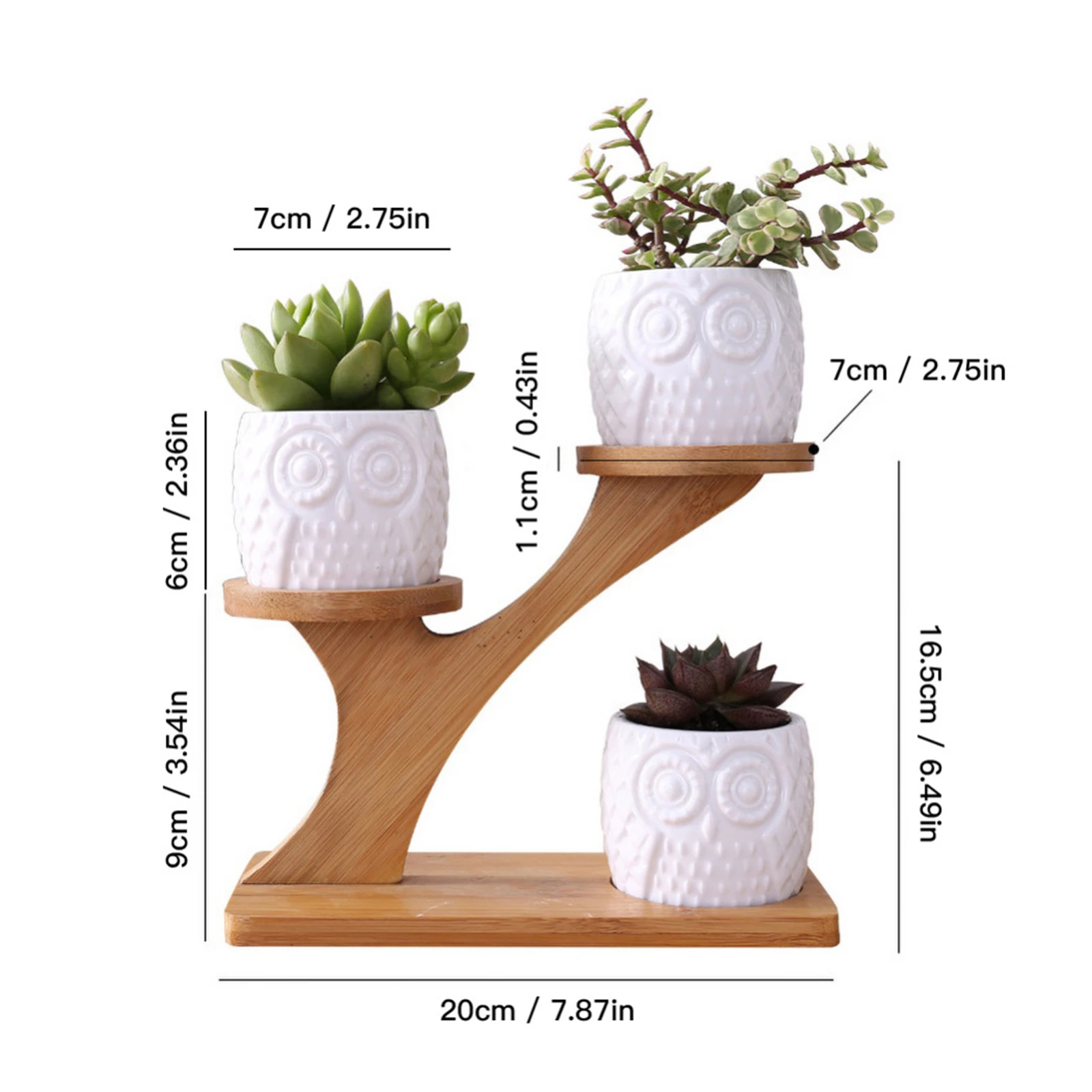 1Pcs Wood Plate Plant Pot Stand with 3 Ceramics Vase Cachepot For Flowers Cactus Succulent Plant Garden Home Decor Accessories
1Pcs Wood Plate Plant Pot Stand with 3 Ceramics Vase Cachepot For Flowers Cactus Succulent Plant Garden Home Decor Accessories