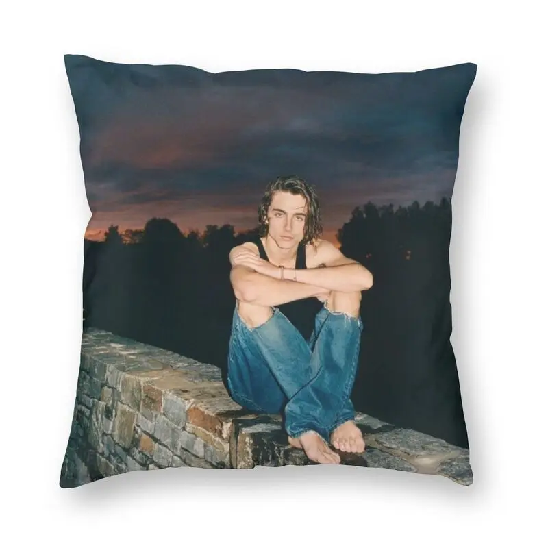 90s Actor Timothee Chalamet Luxury Throw Pillow Cover Home Decorative Sofa Cushion
90s Actor Timothee Chalamet Luxury Throw Pillow Cover Home Decorative Sofa Cushion