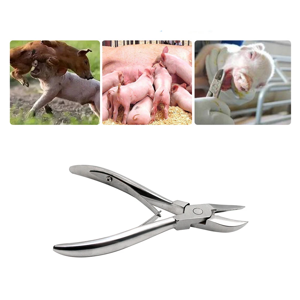 1 piece curved blade dental pliers stainless steel broken tooth pliers piglet rabbit rabbit tooth cutting pliers animal pup
1 piece curved blade dental pliers stainless steel broken tooth pliers piglet rabbit rabbit tooth cutting pliers animal pup