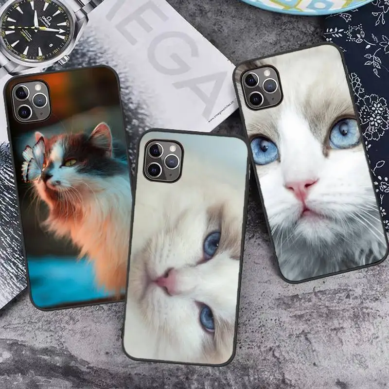 eye funny lovely ragdoll cat Phone Case for iPhone 7 8 11 12 Pro X XS XR Samsung A S 6 7 9 10 51 70 mobile bags
eye funny lovely ragdoll cat Phone Case for iPhone 7 8 11 12 Pro X XS XR Samsung A S 6 7 9 10 51 70 mobile bags