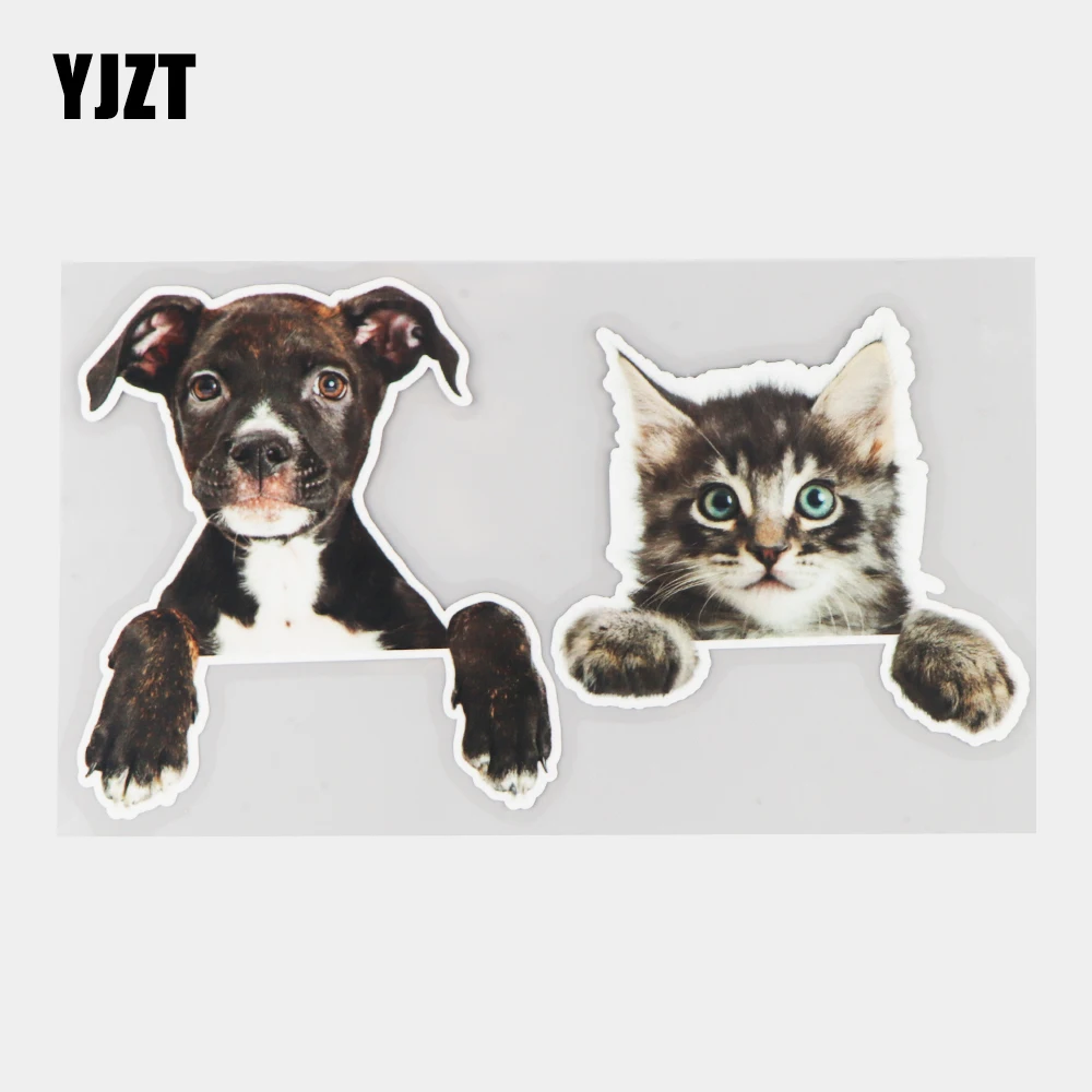 YJZT 21×11.8CM Cute Puppy Kitten Creative Window Decoration Stickers Funny Car Decals 21A-0072
YJZT 21×11.8CM Cute Puppy Kitten Creative Window Decoration Stickers Funny Car Decals 21A-0072