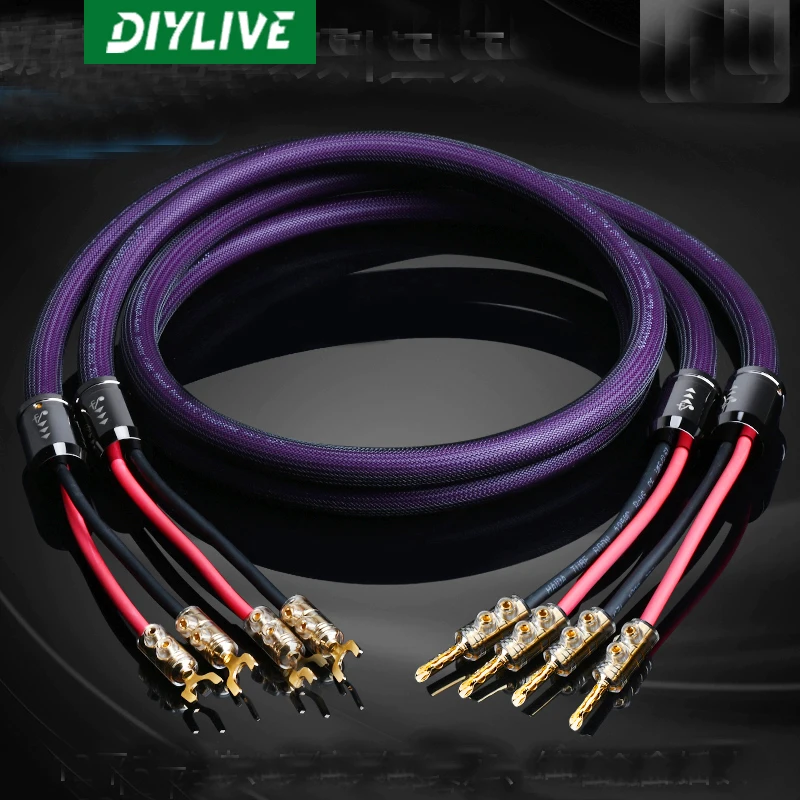 DIYLIVE Fever single crystal copper speaker cable Speaker cable HiFi high-end banana head Y pin plug power amplifier audio cable
DIYLIVE Fever single crystal copper speaker cable Speaker cable HiFi high-end banana head Y pin plug power amplifier audio cable