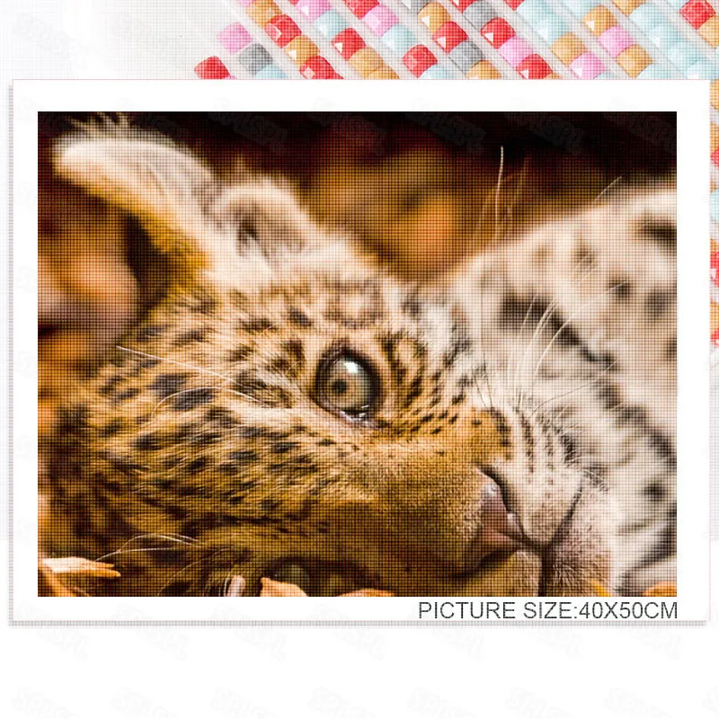 Diy Diamond Painting Wild Leopard National Protected Animals Personality Unique Mural Painting Living Room Bedroom Painting
Diy Diamond Painting Wild Leopard National Protected Animals Personality Unique Mural Painting Living Room Bedroom Painting