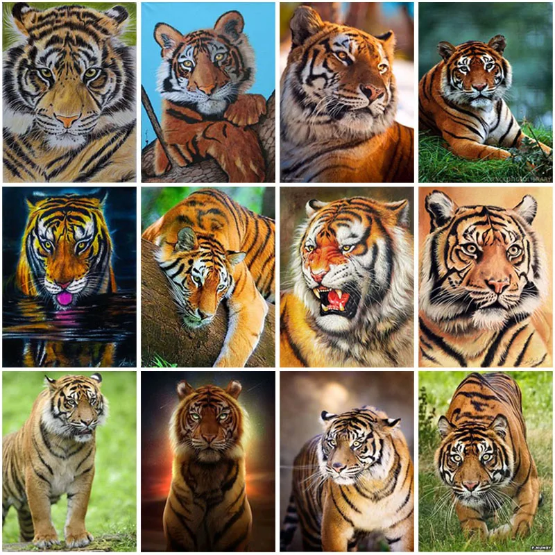 DIY 5D Diamond Painting Full Square Drill Animal Tiger Sticker Diamond Embroidery Mosaic Cross Stitch Home Decor Manual Gift
DIY 5D Diamond Painting Full Square Drill Animal Tiger Sticker Diamond Embroidery Mosaic Cross Stitch Home Decor Manual Gift