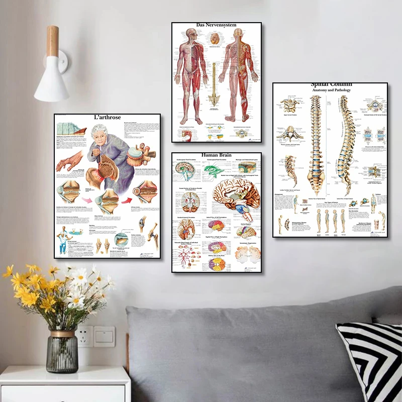 Human Anatomy Muscles System Medicine Canvas Painting Prints and Posters Wall Art Picture Clinic Home Room Decor (No Frame)
Human Anatomy Muscles System Medicine Canvas Painting Prints and Posters Wall Art Picture Clinic Home Room Decor (No Frame)