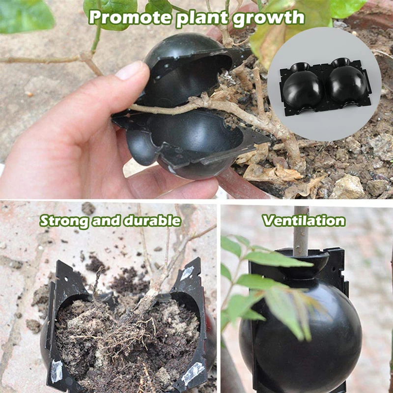 10Pcs Plant Rooting Ball Grafting Rooting Growing Box Breeding seeding Case Container Nursery Box Garden seeds Root Tool
10Pcs Plant Rooting Ball Grafting Rooting Growing Box Breeding seeding Case Container Nursery Box Garden seeds Root Tool