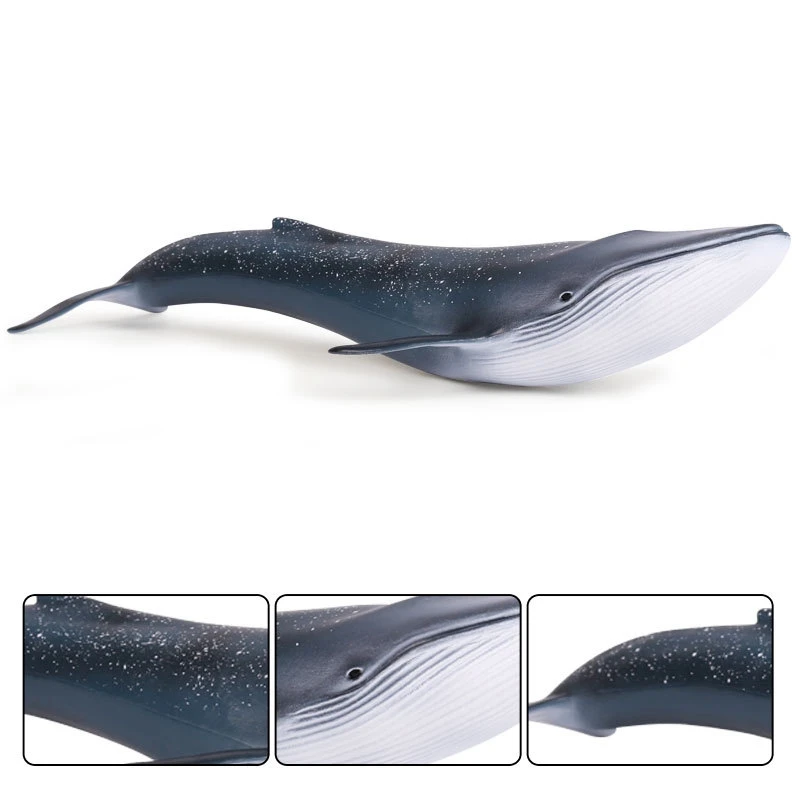 Sea Life Blue Whale Toys Simulation Animal Model Action Toy Figures Classic Toys Animal Model Collection
Sea Life Blue Whale Toys Simulation Animal Model Action Toy Figures Classic Toys Animal Model Collection