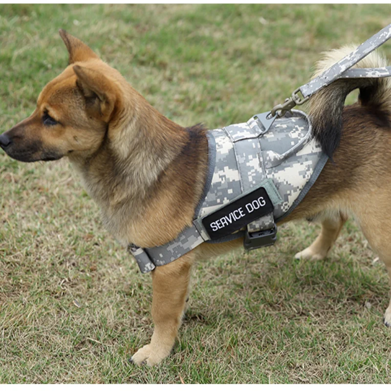 1000D nylon Military Tactical Dog Harness Patrol Working Pet Collar Small Large Dog Harness Service Dog Vest With Handle 
1000D nylon Military Tactical Dog Harness Patrol Working Pet Collar Small Large Dog Harness Service Dog Vest With Handle
