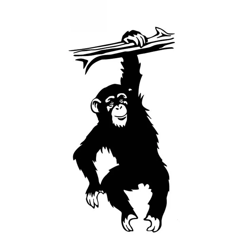 Creative Monkey Hanging Tree Branch Car Sticker PVC Body Exterior Accessories Motorcycle Laptop Decoration Exquisite Auto Decal
Creative Monkey Hanging Tree Branch Car Sticker PVC Body Exterior Accessories Motorcycle Laptop Decoration Exquisite Auto Decal
