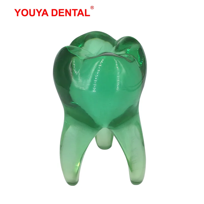 Dentist Gift Small Crystal Molar Model Figurines Ornament Artcrafts Dentistry Gifts Clinic Office Desktop Sculpture Decoration
Dentist Gift Small Crystal Molar Model Figurines Ornament Artcrafts Dentistry Gifts Clinic Office Desktop Sculpture Decoration