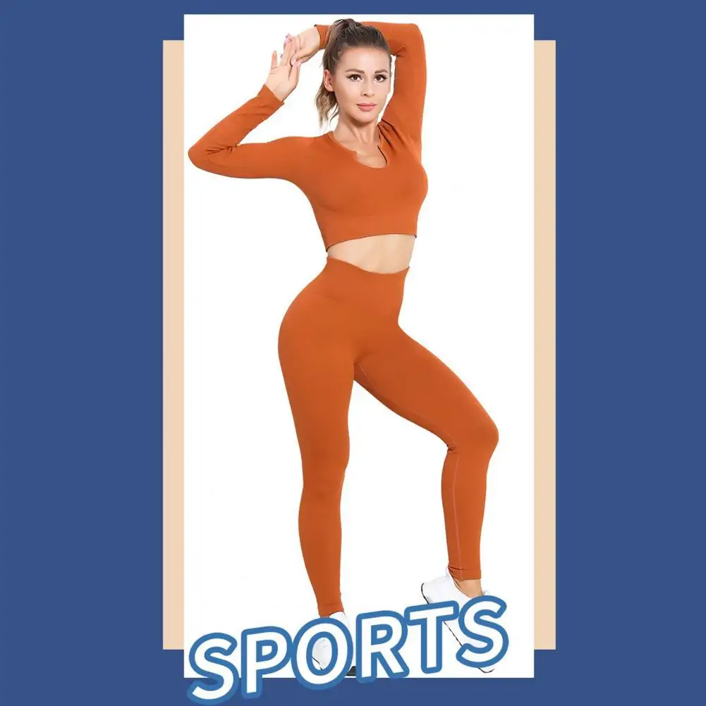 1Set Yoga Sports Suit Women High Elasticity Solid Color Sweat Absorption Ribbed Long Sleeve Crop Suit for Exercise
1Set Yoga Sports Suit Women High Elasticity Solid Color Sweat Absorption Ribbed Long Sleeve Crop Suit for Exercise