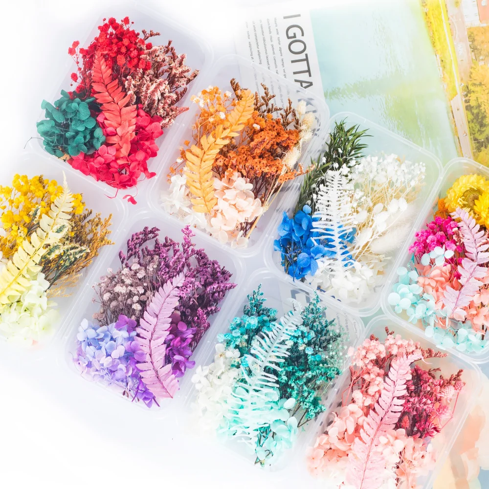 DIY Mixed Dried Flower Children's Handmade Fan Oil Bottle Dried Flower Material Package DIY Handicraft Accessories Decoration
DIY Mixed Dried Flower Children's Handmade Fan Oil Bottle Dried Flower Material Package DIY Handicraft Accessories Decoration