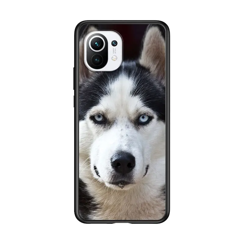 Cute Husky Dog for Xiaomi Mi 11 10T Note 10 Ultra 5G 9 9T SE 8 A3 A2 A1 6X Pro Play F1 Lite 5G Black Phone Case
Cute Husky Dog for Xiaomi Mi 11 10T Note 10 Ultra 5G 9 9T SE 8 A3 A2 A1 6X Pro Play F1 Lite 5G Black Phone Case