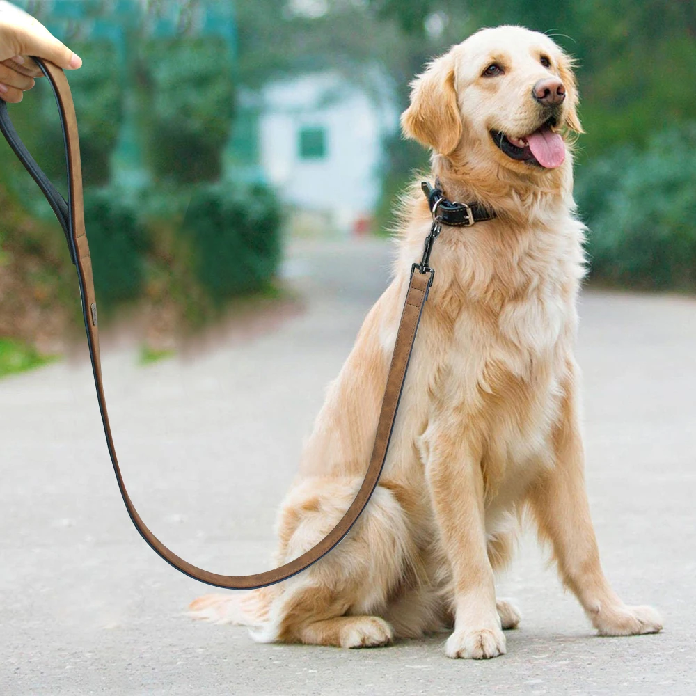 Dog Leash Harness Leather Lead Pet Dog Puppy Walking Running Leashes Training Rope Belt For Small Medium Large Dogs Pet Supplies 
Dog Leash Harness Leather Lead Pet Dog Puppy Walking Running Leashes Training Rope Belt For Small Medium Large Dogs Pet Supplies
