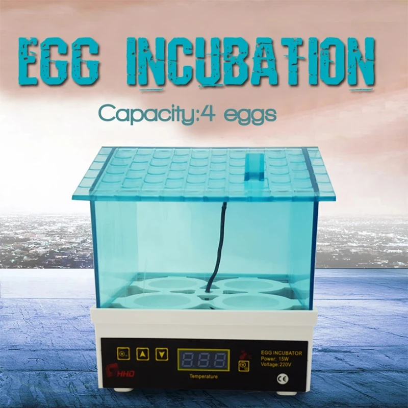 

Автоматический цифровой инкубатор HHD для 4 яиц, мини-инкубатор для домашней птицы, полностью домашний инкубатор для яиц, небольшой Брудер