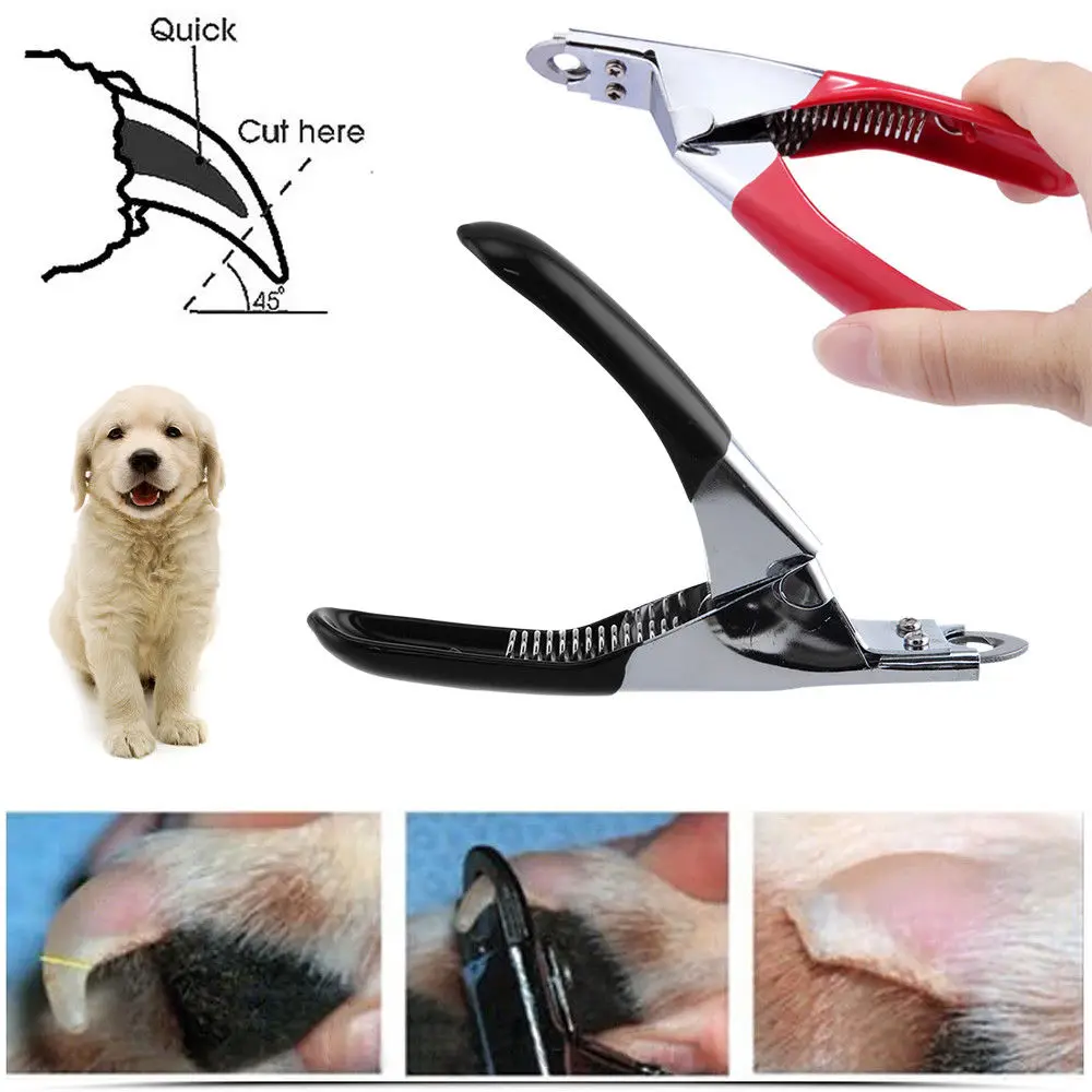 Stainless Steel Dog Pet Grooming Nail Trimmer Scissors Claw Nail Clippers for Dog Cat Birds Animal Nail Scissor Dog Supplies CA
Stainless Steel Dog Pet Grooming Nail Trimmer Scissors Claw Nail Clippers for Dog Cat Birds Animal Nail Scissor Dog Supplies CA