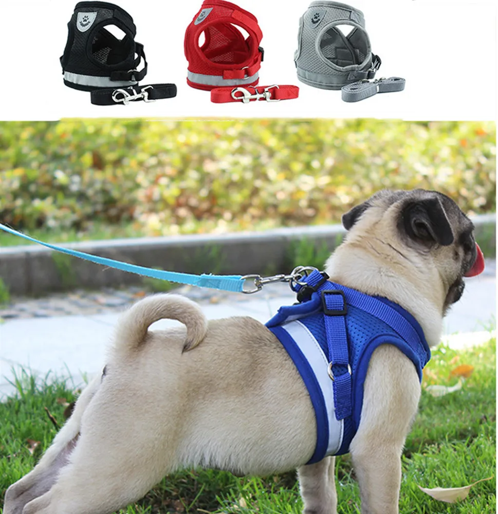 Dog Harness and Leash Set Pet Vest Harness for Small Dogs with Adjustable Reflective Step
Dog Harness and Leash Set Pet Vest Harness for Small Dogs with Adjustable Reflective Step