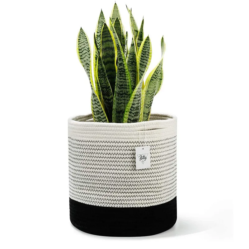 Джутовая сращенная хлопковая веревка, корзина для растений, Современная фотография для пола, комнатный плантатор, декоративные цветочные г...
Джутовая сращенная хлопковая веревка, корзина для растений, Современная фотография для пола, комнатный плантатор, декоративные цветочные г...