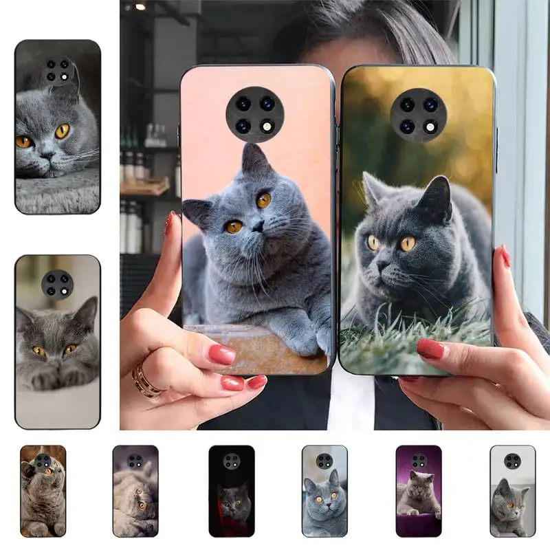 British shorthair cat Phone Case For Redmi 9 5 S2 K30pro Silicone Fundas for Redmi 8 7 7A note 5 5A Capa
British shorthair cat Phone Case For Redmi 9 5 S2 K30pro Silicone Fundas for Redmi 8 7 7A note 5 5A Capa