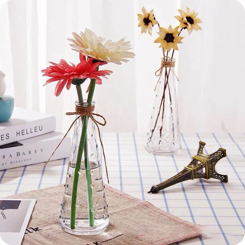 Glass Vase Transparent Hydroponics Flower Plants Vase DIY Bottle Living Room Table Decoration Rope Dry Creative Glass Bottle
Glass Vase Transparent Hydroponics Flower Plants Vase DIY Bottle Living Room Table Decoration Rope Dry Creative Glass Bottle