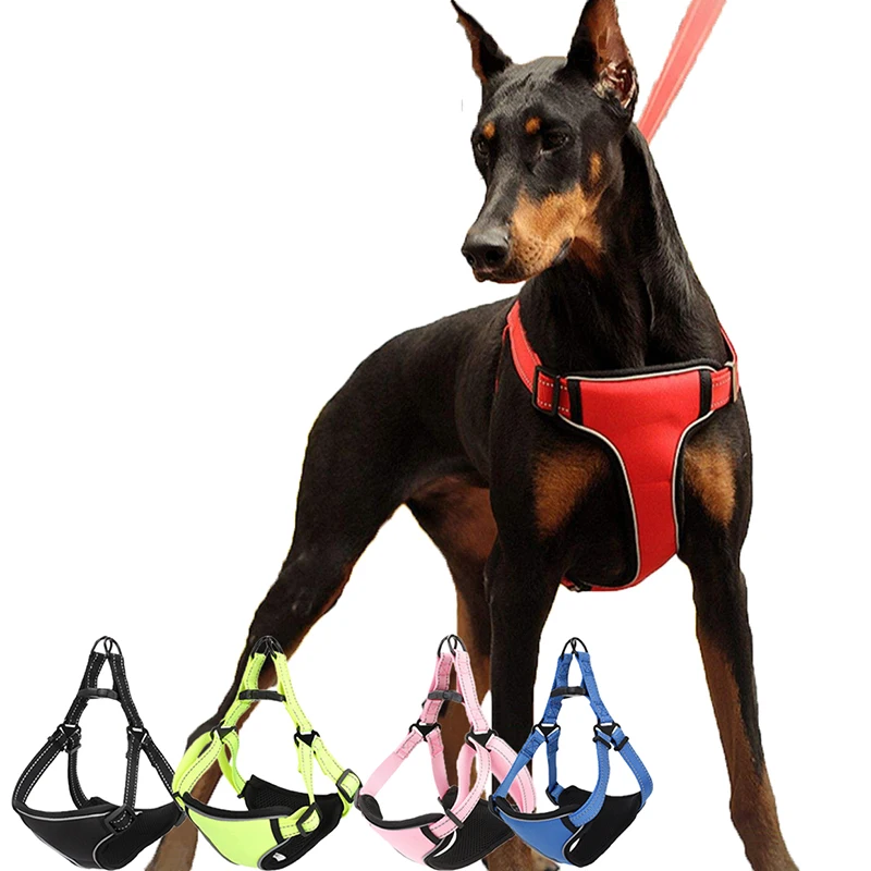 Adjustable No Pull Dog Harness Vest For Big Dog Harness Outdoor Pet Vest Reflective Soft Material Vest Small Medium Large Dogs
Adjustable No Pull Dog Harness Vest For Big Dog Harness Outdoor Pet Vest Reflective Soft Material Vest Small Medium Large Dogs