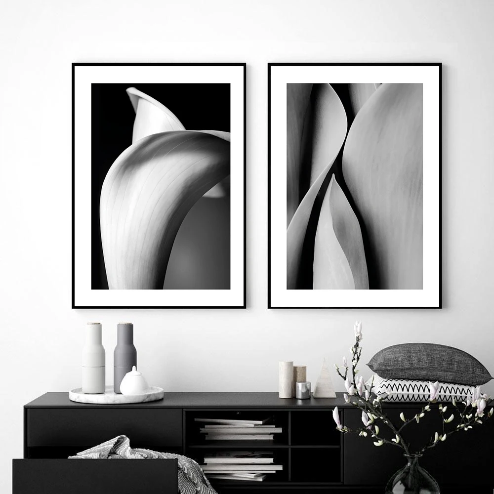 Abstract Lily Leaves Poster Black White Canvas Painting Photography Art Print Norbic Wall Picture For Living Room Home Decor
Abstract Lily Leaves Poster Black White Canvas Painting Photography Art Print Norbic Wall Picture For Living Room Home Decor
