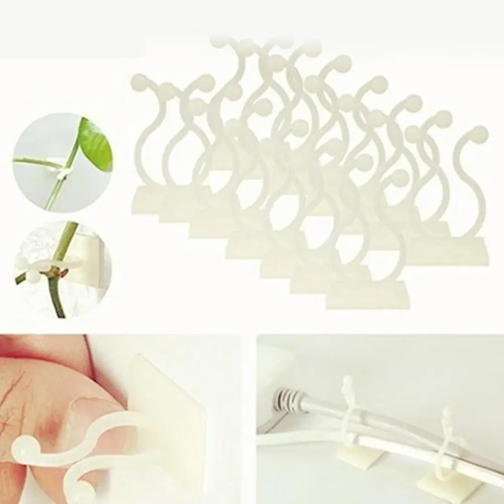 100PCS Plant Buckle Hook Portable Invisible Vine Fixed Clip Wall Rattan Clamp Garden Plant Vine Clips Rattan Fixed Sticky Hook
100PCS Plant Buckle Hook Portable Invisible Vine Fixed Clip Wall Rattan Clamp Garden Plant Vine Clips Rattan Fixed Sticky Hook