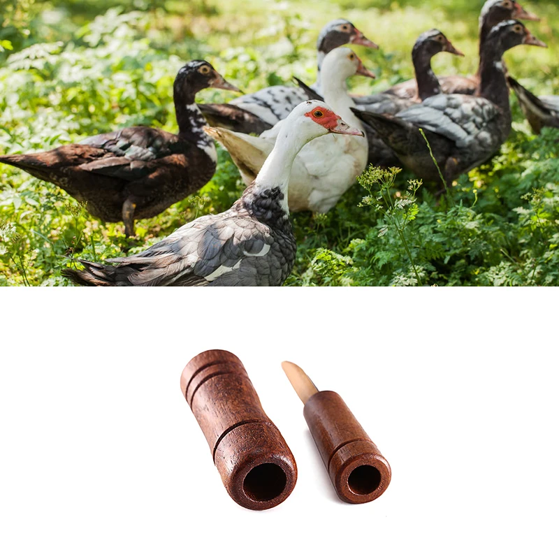 Outdoor Hunting Whistle Decoy Imitate Pheasant Duck Voice Bird Goose Voice Trap Brown Oak Wooden Whistle Hunting Accessioes
Outdoor Hunting Whistle Decoy Imitate Pheasant Duck Voice Bird Goose Voice Trap Brown Oak Wooden Whistle Hunting Accessioes