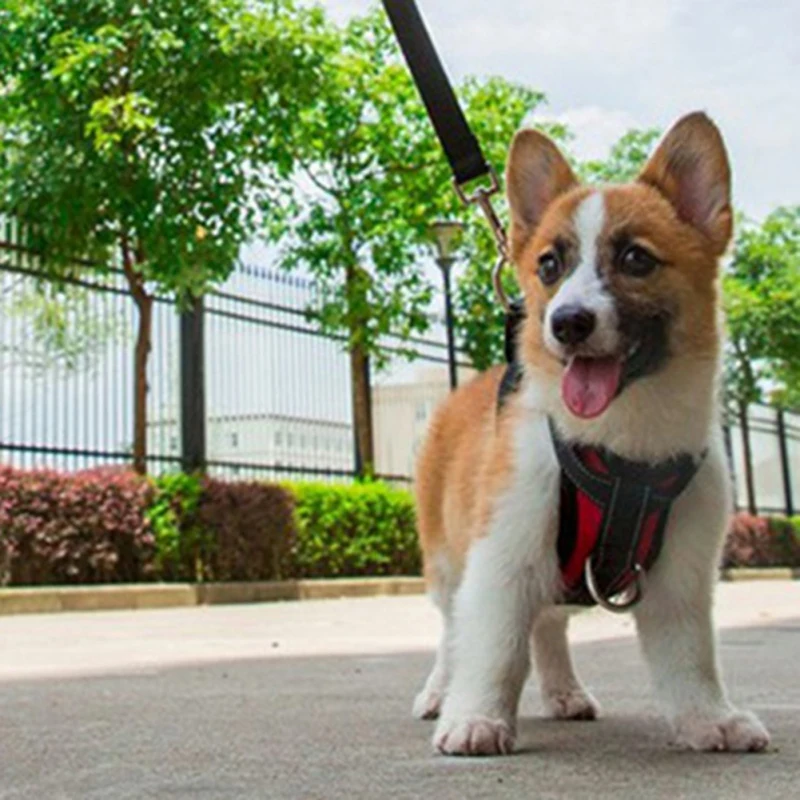 New Adjustable Pet Dog Puppy Harnesses Seat Belt Lead Restraint Strap Vest Walking Lead Leash For Puppy Dogs Collar Polyester
New Adjustable Pet Dog Puppy Harnesses Seat Belt Lead Restraint Strap Vest Walking Lead Leash For Puppy Dogs Collar Polyester