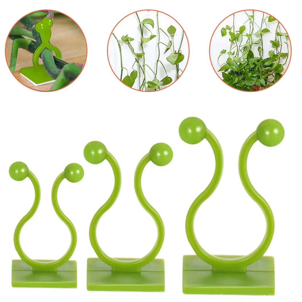 Plant Care Wall Vines Fixture 50X Invisible Plant Climbing Wall Clip Wall Sticky
Plant Care Wall Vines Fixture 50X Invisible Plant Climbing Wall Clip Wall Sticky