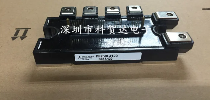 Флэш-память PM75CLA120, 1 шт., новинка
Флэш-память PM75CLA120, 1 шт., новинка