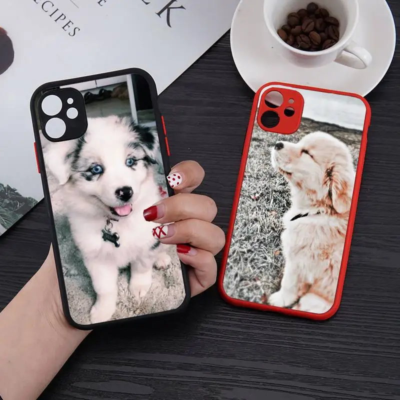 golden retriever Cute dog Phone Case for iphone 12 XS 11 pro max mini 6 6s 7 8 plus SE2020 X XR protection shockproof red cases
golden retriever Cute dog Phone Case for iphone 12 XS 11 pro max mini 6 6s 7 8 plus SE2020 X XR protection shockproof red cases