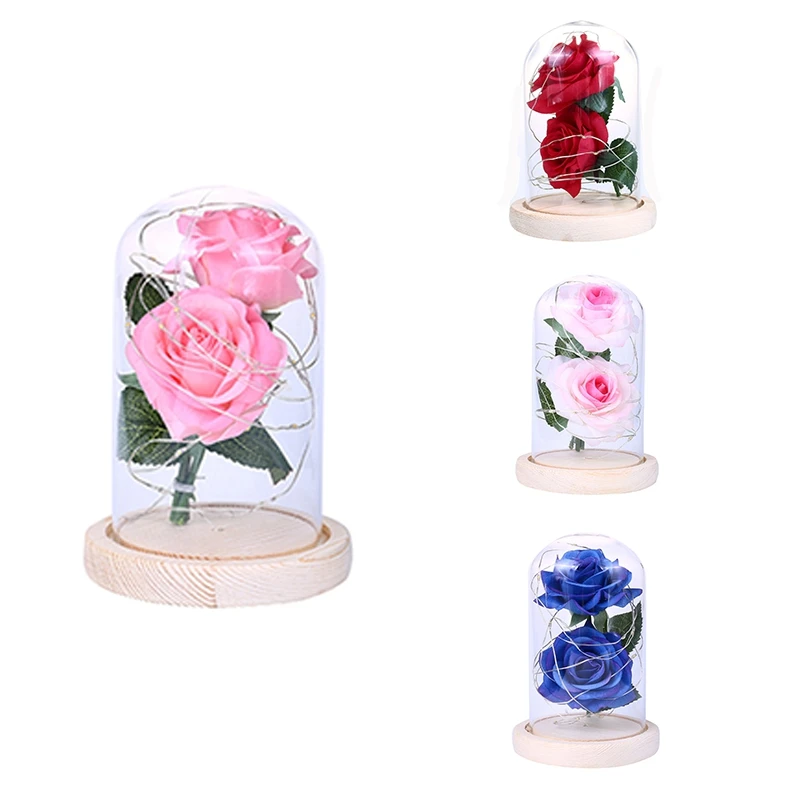 Rose Flower in Glass Dome with LED String Lights Gift for Birthday Wedding Valentine's Day Anniversary
Rose Flower in Glass Dome with LED String Lights Gift for Birthday Wedding Valentine's Day Anniversary