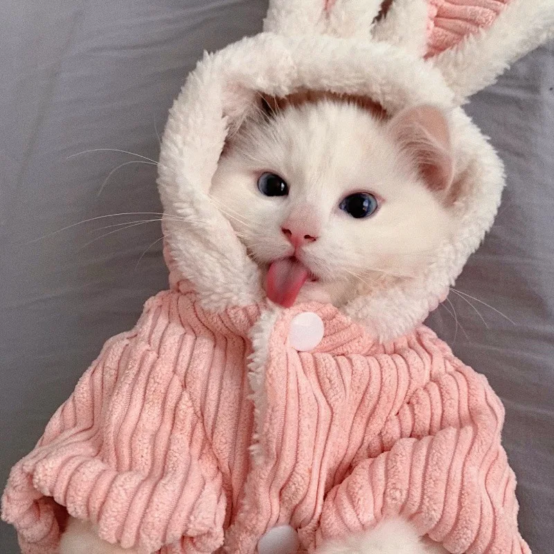 Dog Clothes Autumn and Winter Models Thickened Plus Velvet Rabbit Clothes Teddy Bichon Pomeranian Small Dog Cat Pet Clothes
Dog Clothes Autumn and Winter Models Thickened Plus Velvet Rabbit Clothes Teddy Bichon Pomeranian Small Dog Cat Pet Clothes