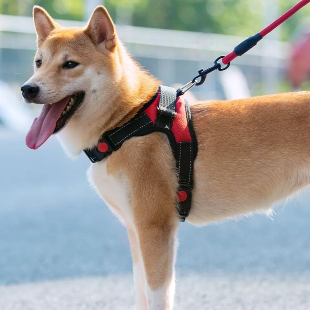 Pet dog cat adjustable seat belt soft breathable mesh dog vest vest training cat pet puppies collar cat pet dog chest harness
Pet dog cat adjustable seat belt soft breathable mesh dog vest vest training cat pet puppies collar cat pet dog chest harness