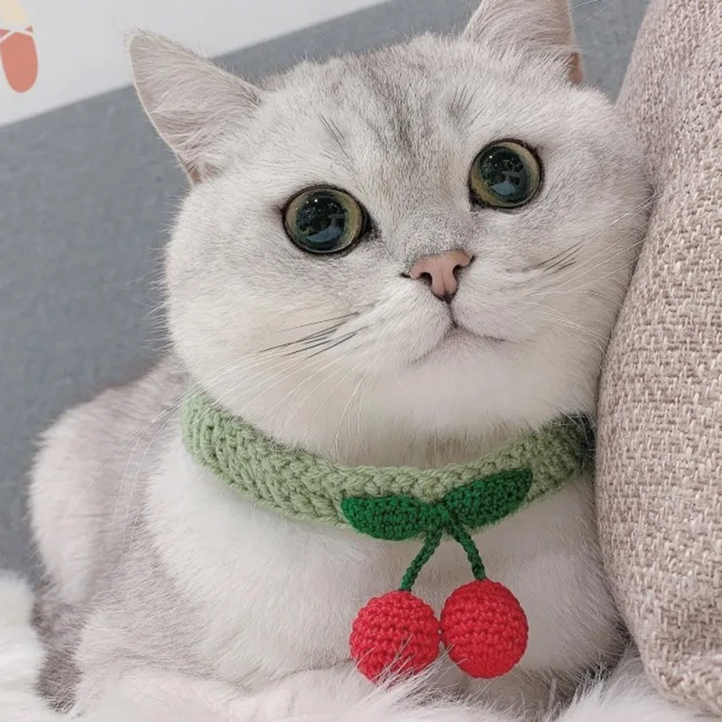 Knitted Pet Collar Cherry Pendant Cotton Handmade Wool Collars for Kitten Cat Pet Decorative Necklace Collars Pet Accessories
Knitted Pet Collar Cherry Pendant Cotton Handmade Wool Collars for Kitten Cat Pet Decorative Necklace Collars Pet Accessories