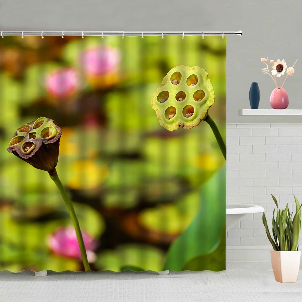 Lotus Shower Curtain Green Leaf Flowers Pond Summer Bathroom Bathing Curtains Washable Hanging With Hook Set Home Decor Screen
Lotus Shower Curtain Green Leaf Flowers Pond Summer Bathroom Bathing Curtains Washable Hanging With Hook Set Home Decor Screen