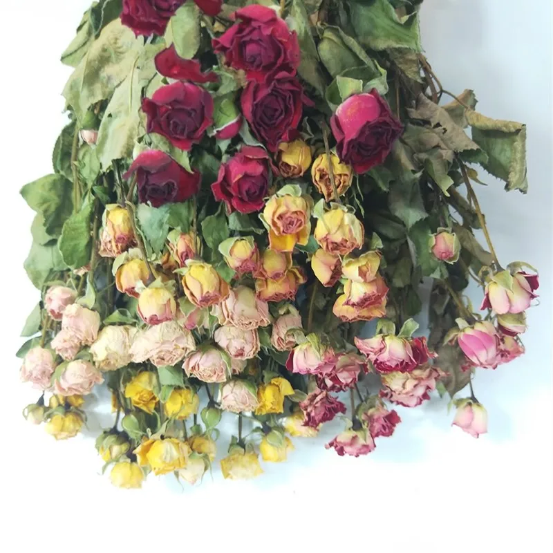Dried Natural Flowers Rose Flores Decorativas Office Party Home Wedding Decoration DIY Bouquet Valentine's Day Mother's Day Gift
Dried Natural Flowers Rose Flores Decorativas Office Party Home Wedding Decoration DIY Bouquet Valentine's Day Mother's Day Gift