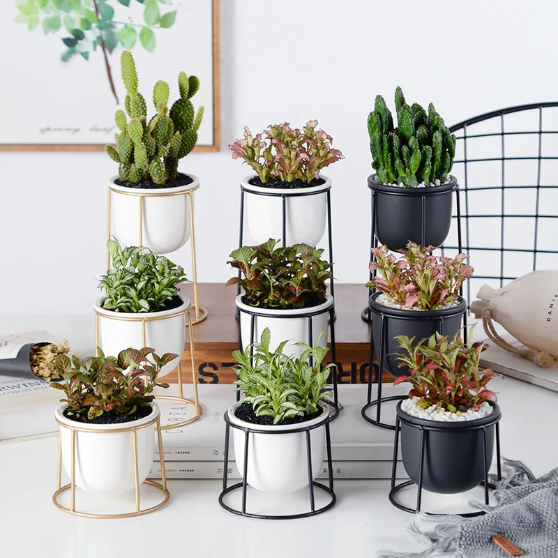 1pcs Ceramics Flower Pot Bracket Home Tabletop Plant Pot Ceramic Crafts Fleshy Plants Decoration Flower Vase For Desktop Garden
1pcs Ceramics Flower Pot Bracket Home Tabletop Plant Pot Ceramic Crafts Fleshy Plants Decoration Flower Vase For Desktop Garden