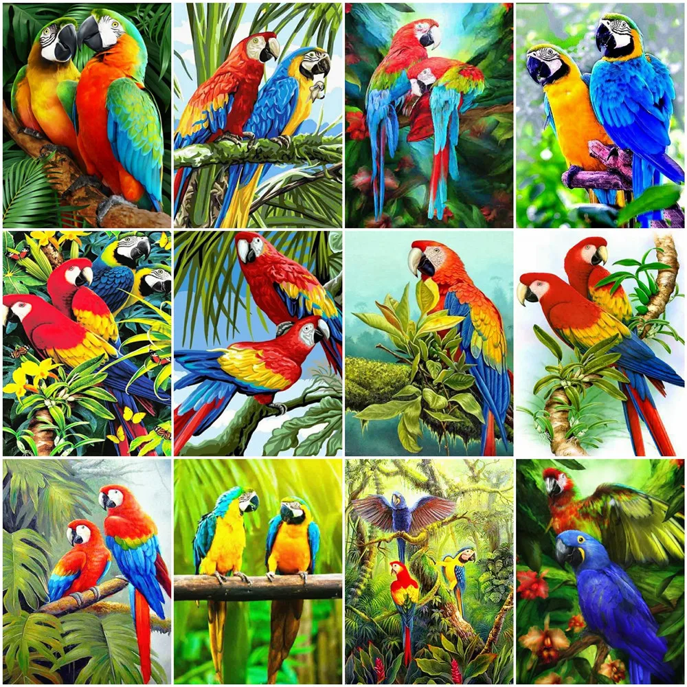 HUACAN Paint By Number Parrot Animal Handpainted Acrylic Wall Art Gifts Coloring By Numbers For Living Room Decoration
HUACAN Paint By Number Parrot Animal Handpainted Acrylic Wall Art Gifts Coloring By Numbers For Living Room Decoration