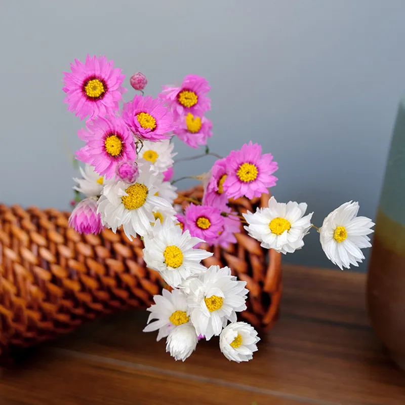 30-40cmDried Daisy Bouquet White/Pink Immortal Dried Flowers Bouquet Small Helichrysum Wedding Home Art Decoration DIY Material
30-40cmDried Daisy Bouquet White/Pink Immortal Dried Flowers Bouquet Small Helichrysum Wedding Home Art Decoration DIY Material