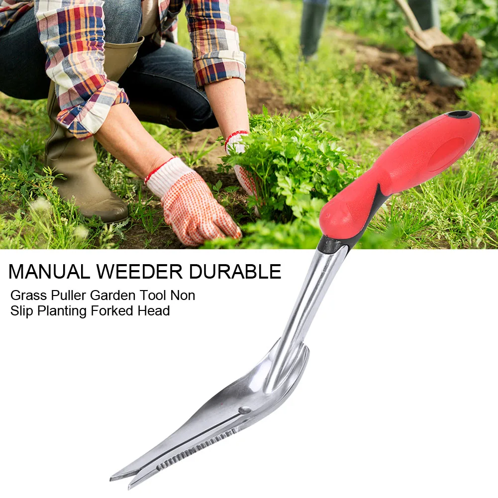 Trimming Digging Ergonomic Portable Lawn Planting Aluminum Alloy Durable Grass Puller Forked Head Garden Tool Manual Weeder
Trimming Digging Ergonomic Portable Lawn Planting Aluminum Alloy Durable Grass Puller Forked Head Garden Tool Manual Weeder