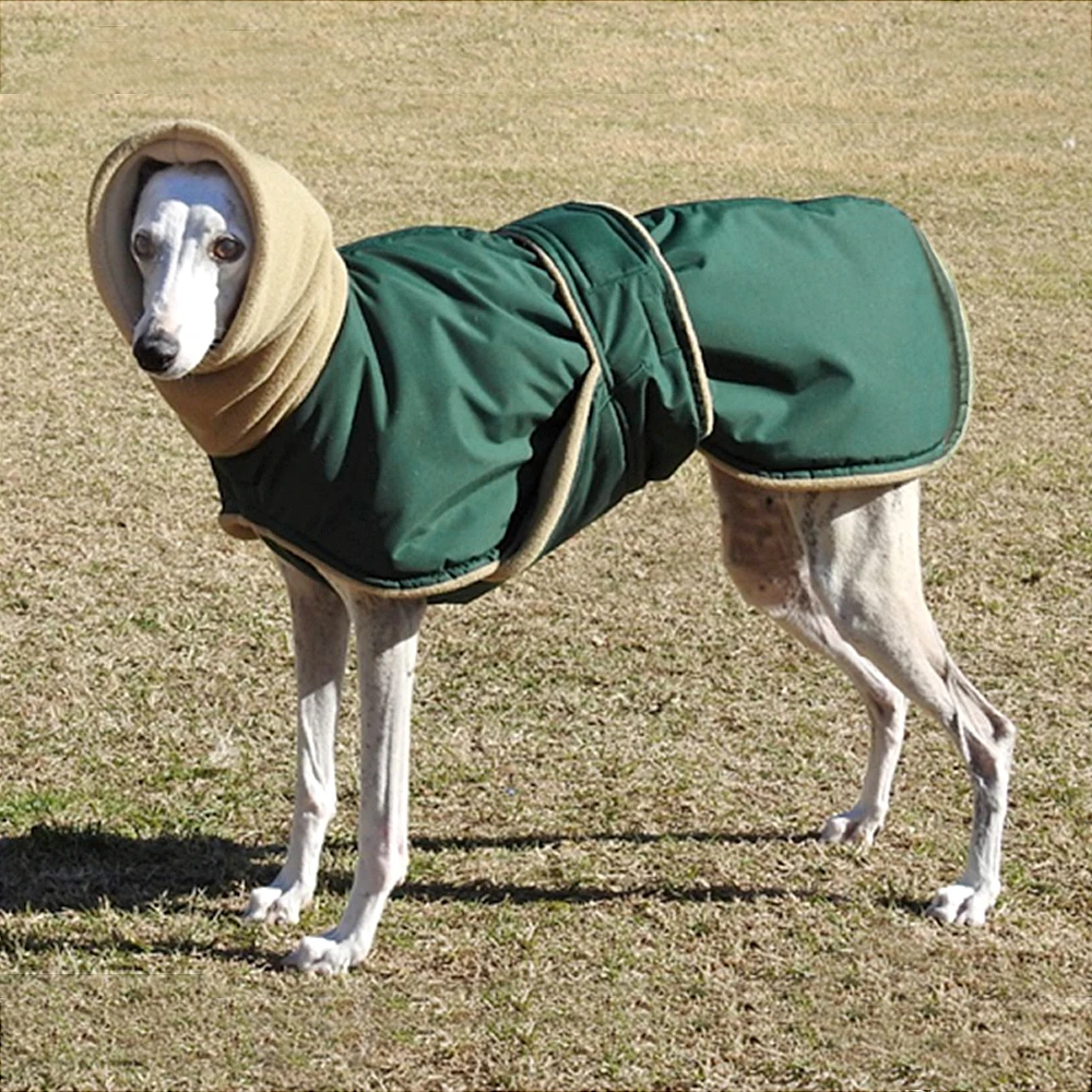 35cm Long Neck Cotton Dog Coat For Large Dogs 3xl 4xl 5xl Dog Clothes For Labradors Winter Dog Hoodie Adjustable Velcro Waist 
35cm Long Neck Cotton Dog Coat For Large Dogs 3xl 4xl 5xl Dog Clothes For Labradors Winter Dog Hoodie Adjustable Velcro Waist